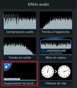 Camtasia-Suppression-bruit