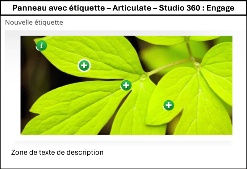 Panneau avec étiquette édité dans H5P